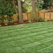 Lawn Maintenance & Care